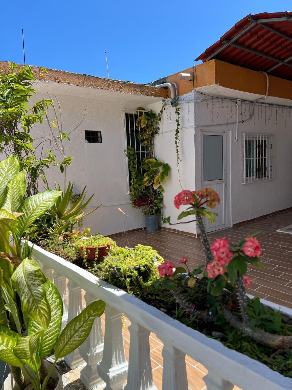 Alojamiento En La Calle 56 Playa Del Carmen Exterior photo